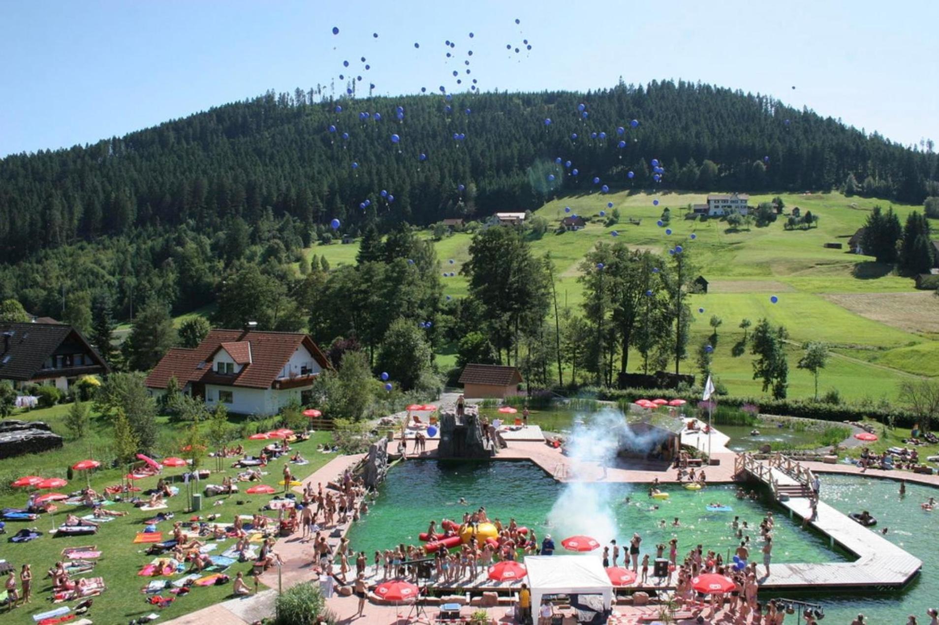 Ferienwohnung Schwarzwald Tannenzaepfle Baiersbronn Extérieur photo
